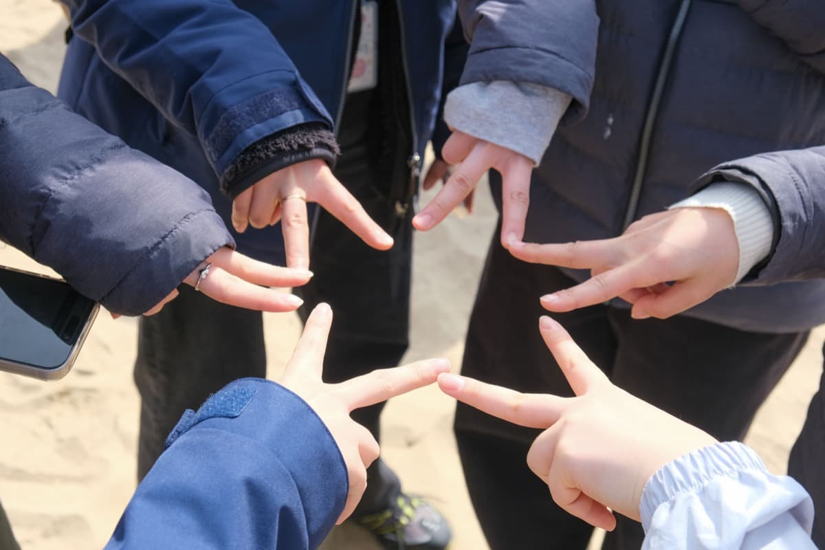 이타서울 커리어